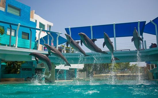 Interactive Aquarium Cancún